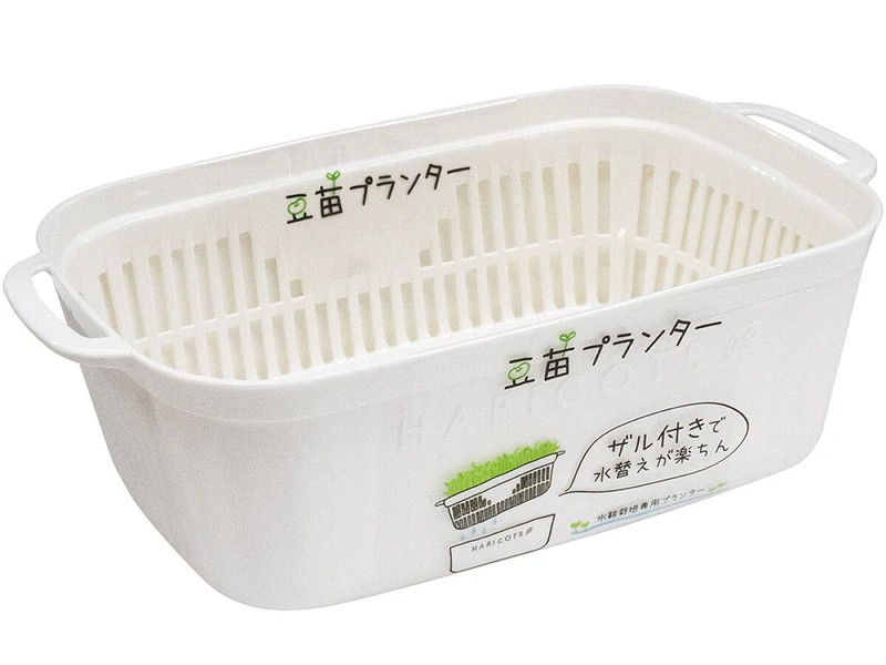 豆苗プランター_ホワイト
