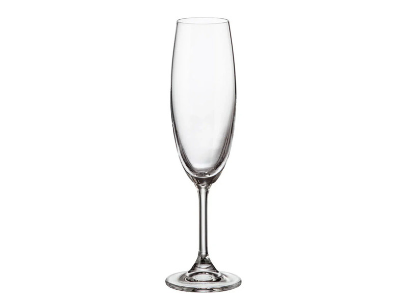 ボヘミアシルビアシャンパングラス２２０ｍｌ